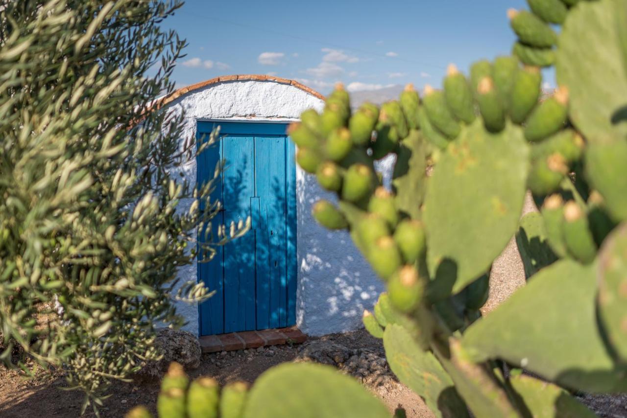 Al Agia - Mirador De Los Quinientos Padul Exterior photo